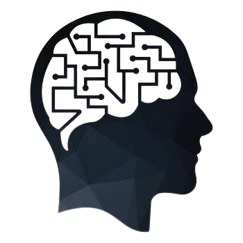 Cerebro